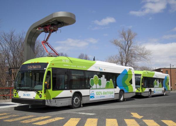 Bus électriques Société De Transport De Montréal