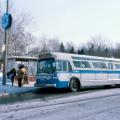 On Mount Royal, 1982