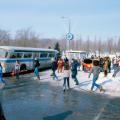 On Mount Royal, 1982