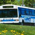 Classic bus during summer, 1990