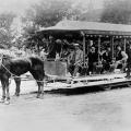 Horse-drawn summer tramway on St. Denis Street, 1887