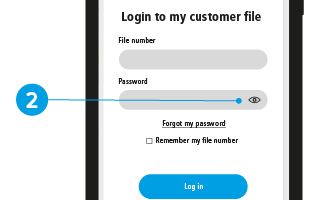 Print screen of a section showing the Show the Password symbol.