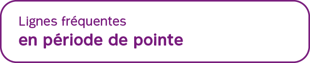 Visuel lignes fréquentes en période de pointe