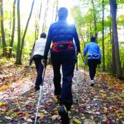 Fall walking