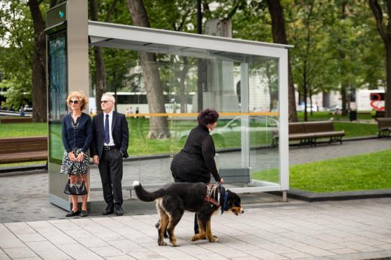 Photo d’une femme ayant des limitations visuelles qui attend le bus avec son chien devant un abribus.