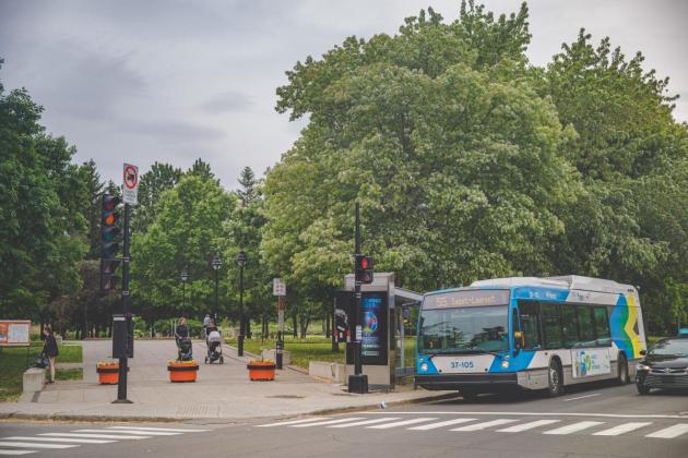 Photo du Parc Jarry. Crédit Simon Laroche.