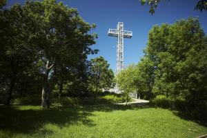 Mont-Royal cross