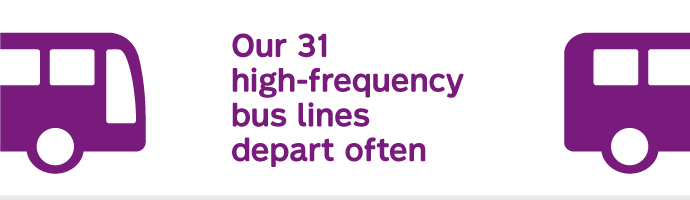 Our 31 high-frequency bus lines depart often