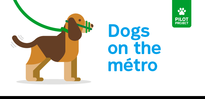 Pilot project: pet dogs allowed in the métro under certain conditions starting October 15