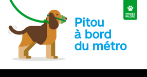 Projet pilote : les chiens de compagnie autorisés dans le métro sous certaines conditions à compter du 15 octobre 