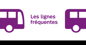 La STM présente une nouvelle appellation et identité visuelle pour repérer facilement ses lignes de bus à passages fréquents