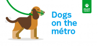 Pilot project: pet dogs allowed in the métro under certain conditions starting October 15