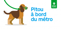 Projet pilote : les chiens de compagnie autorisés dans le métro sous certaines conditions à compter du 15 octobre 