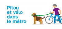 Pilote chiens et vélos dans le métro : La STM améliore l’expérience de déplacement de sa clientèle
