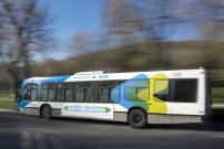 La STM débute ses travaux pour la mise en service de trois voies réservées 