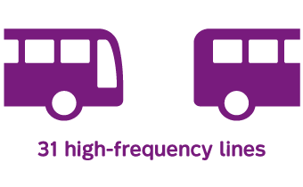 31 high-frequency lines